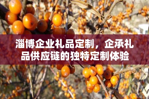 淄博企业礼品定制，企承礼品供应链的独特定制体验