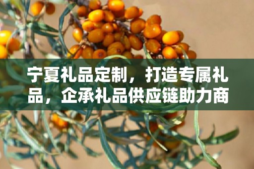 宁夏礼品定制，打造专属礼品，企承礼品供应链助力商务之选