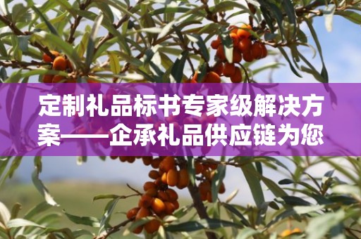 定制礼品标书专家级解决方案——企承礼品供应链为您呈现